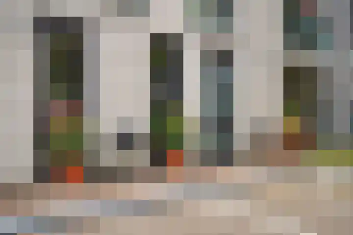 Van Hoftenstraat 37 's-Hertogenbosch thumbnail 32