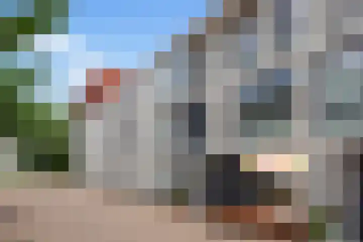 Van Hoftenstraat 37 's-Hertogenbosch thumbnail 35