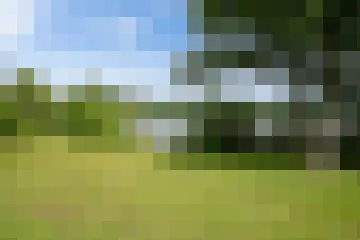 Van Hoftenstraat 37 's-Hertogenbosch thumbnail 37