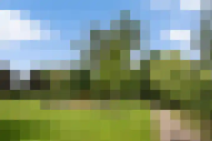 Van Hoftenstraat 37 's-Hertogenbosch thumbnail 38