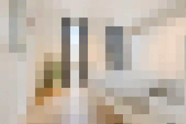 Van Hoftenstraat 47 's-Hertogenbosch thumbnail 12
