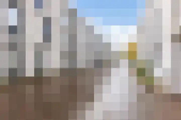 Van Hoftenstraat 47 's-Hertogenbosch thumbnail 22