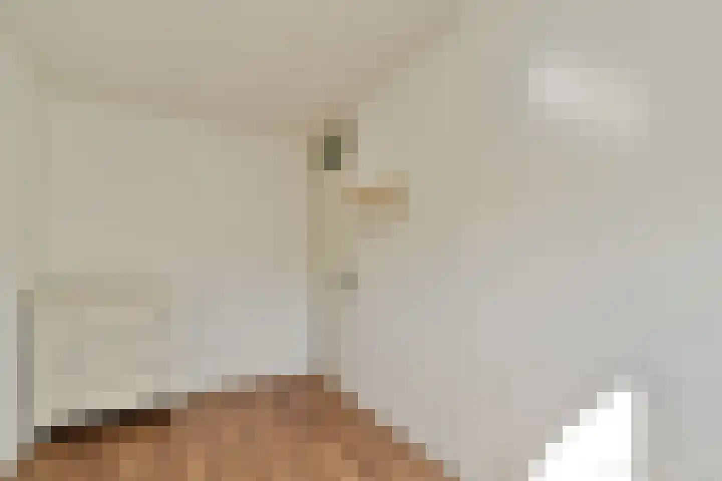 Van Hogelandestraat 2 Den Haag thumbnail 29