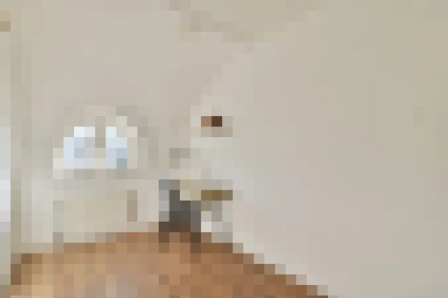 Van Hogelandestraat 2 Den Haag thumbnail 30