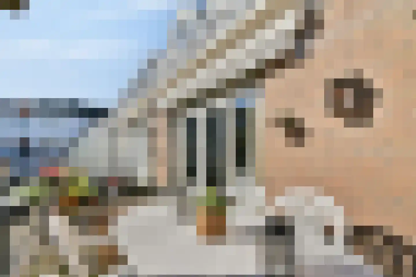 Van Hogelandestraat 2 Den Haag thumbnail 4