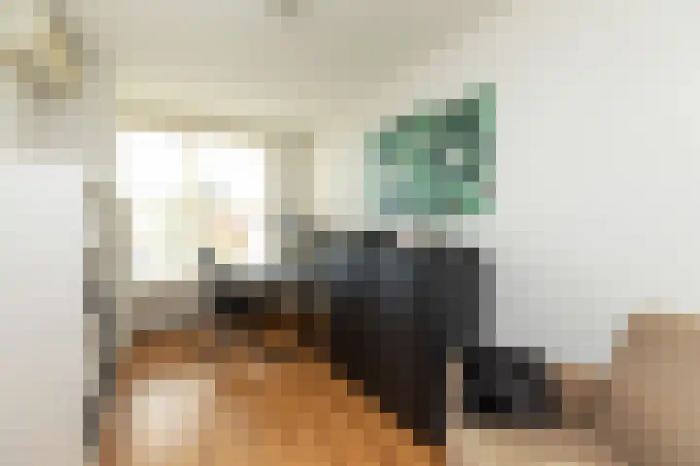 Van Hogendorplaan 1 H Hilversum thumbnail 23