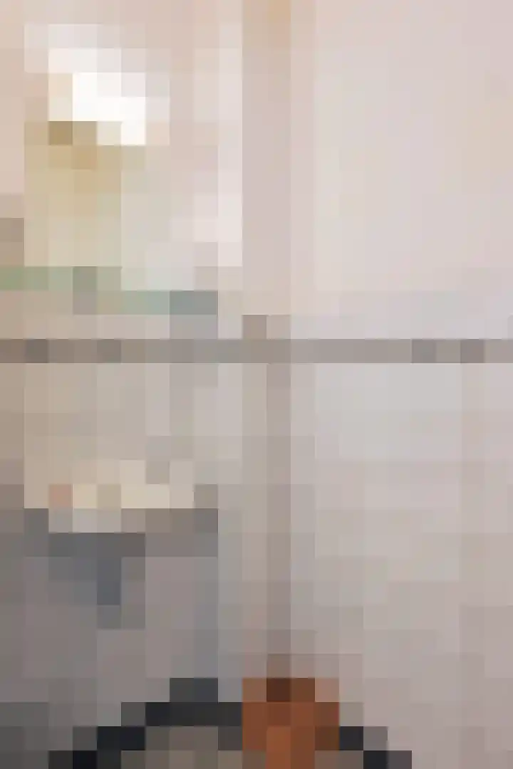 van Hogendorplaan 10 Eindhoven thumbnail 12