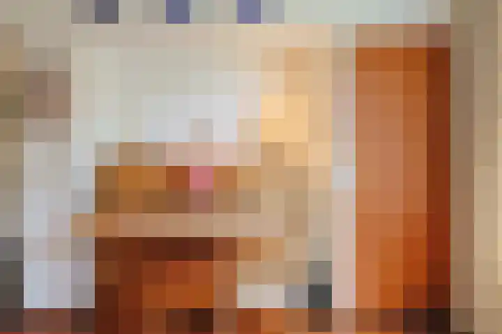 van Hogendorplaan 10 Eindhoven thumbnail 16