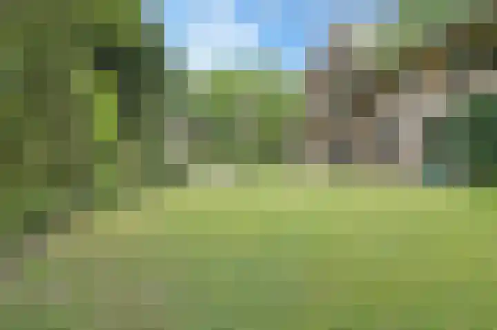 van Hogendorplaan 10 Eindhoven thumbnail 60