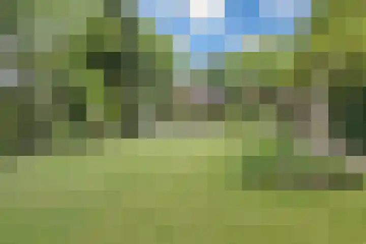 van Hogendorplaan 10 Eindhoven thumbnail 61