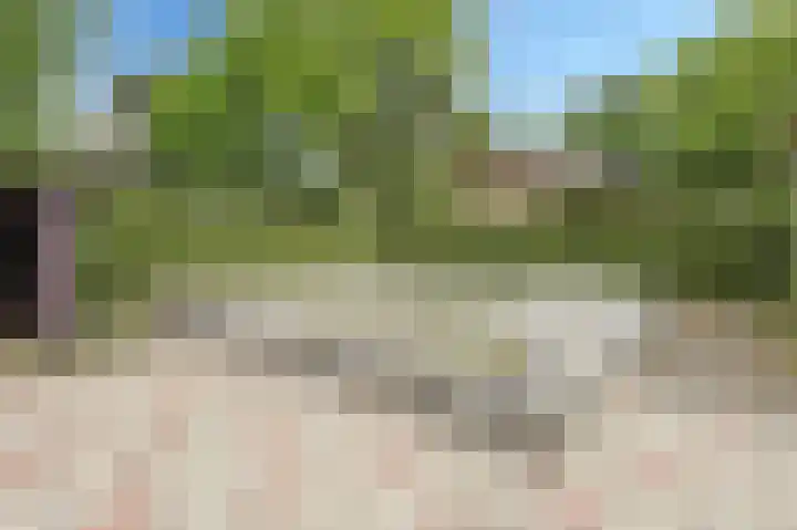 van Hogendorplaan 10 Eindhoven thumbnail 65