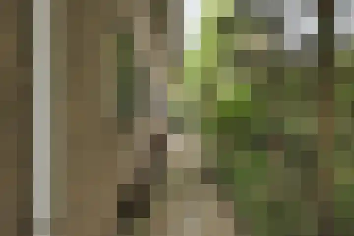 van Hogendorplaan 10 Eindhoven thumbnail 68
