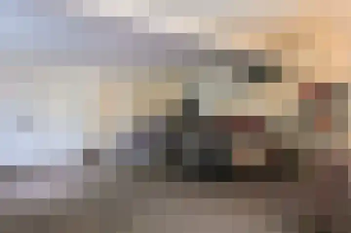 van Hogendorplaan 10 Eindhoven thumbnail 71