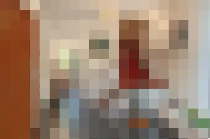 van Hogendorplaan 10 Eindhoven thumbnail 9