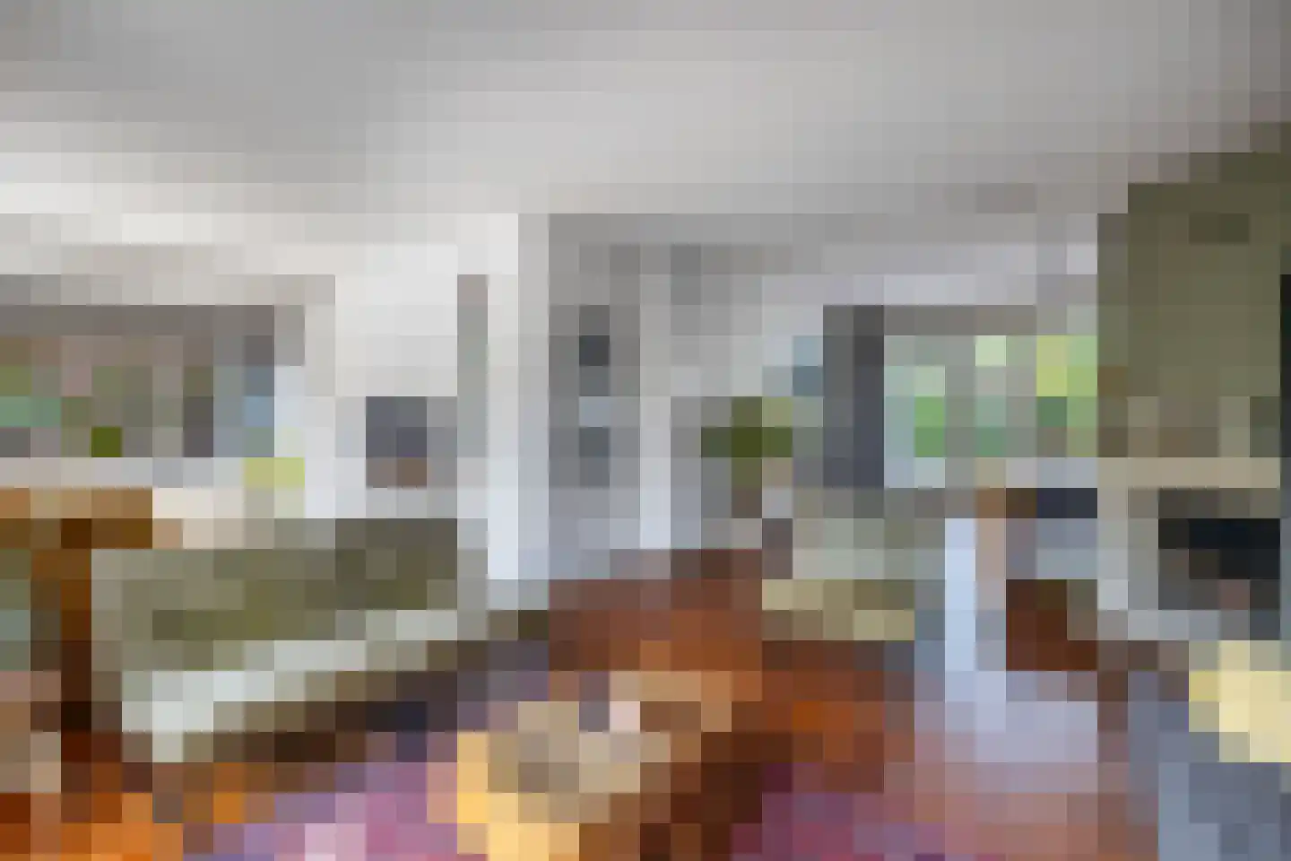 Van Hogendorplaan 10 Huizen thumbnail 10