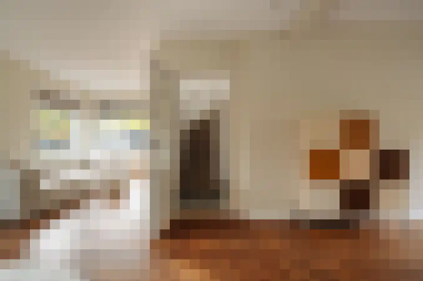 Van Hogendorplaan 10 Huizen thumbnail 11