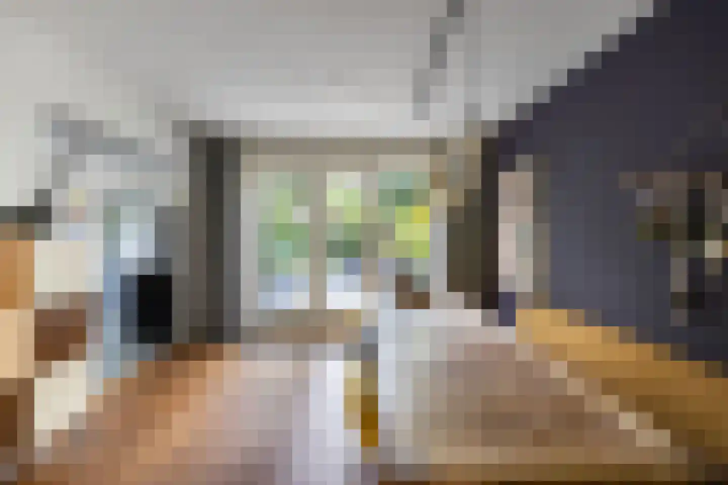 Van Hogendorplaan 10 Huizen thumbnail 12