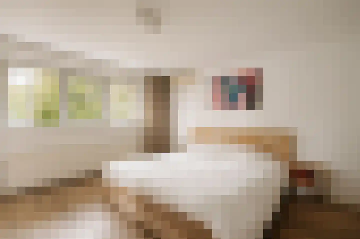 Van Hogendorplaan 10 Huizen thumbnail 13