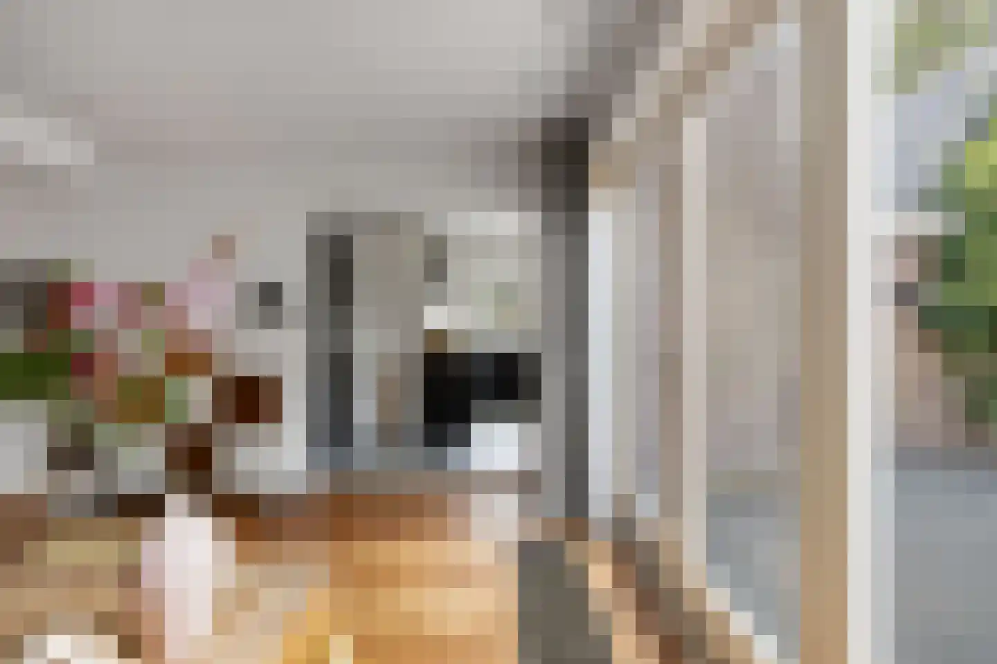 Van Hogendorplaan 10 Huizen thumbnail 13
