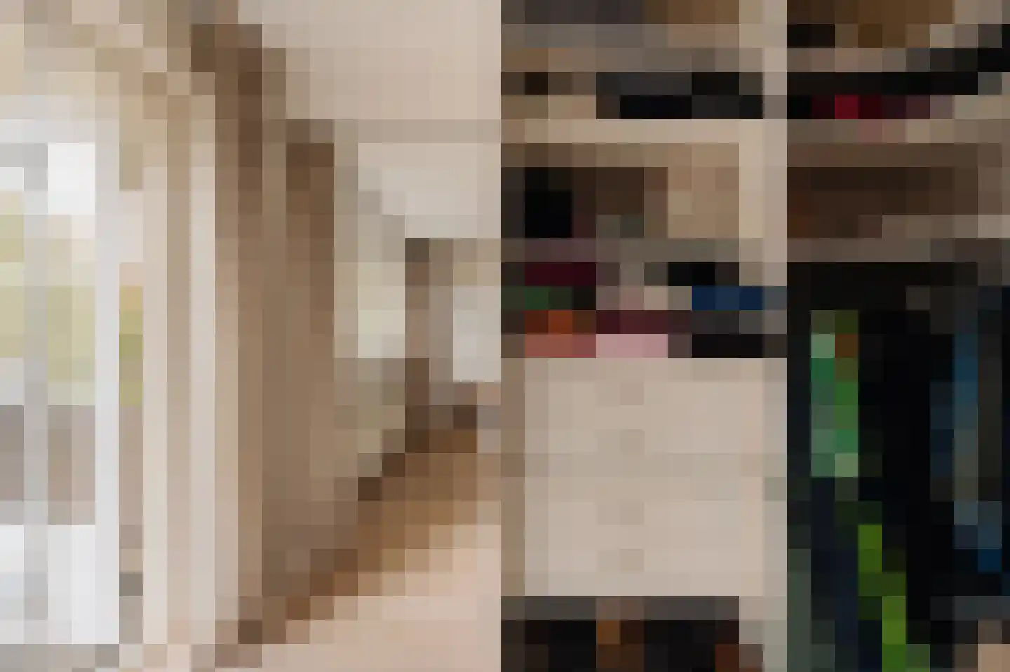 Van Hogendorplaan 10 Huizen thumbnail 14