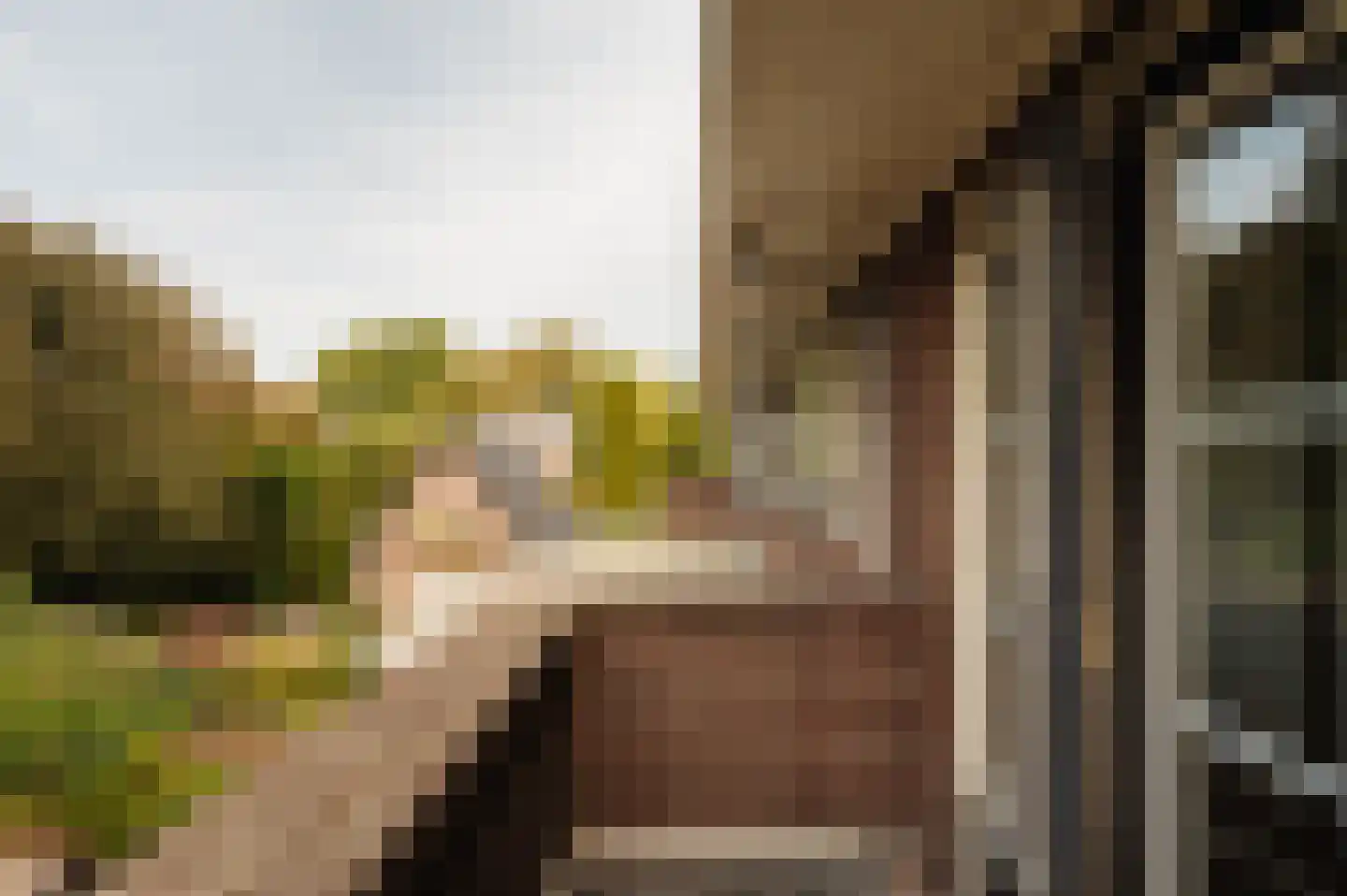 Van Hogendorplaan 10 Huizen thumbnail 15