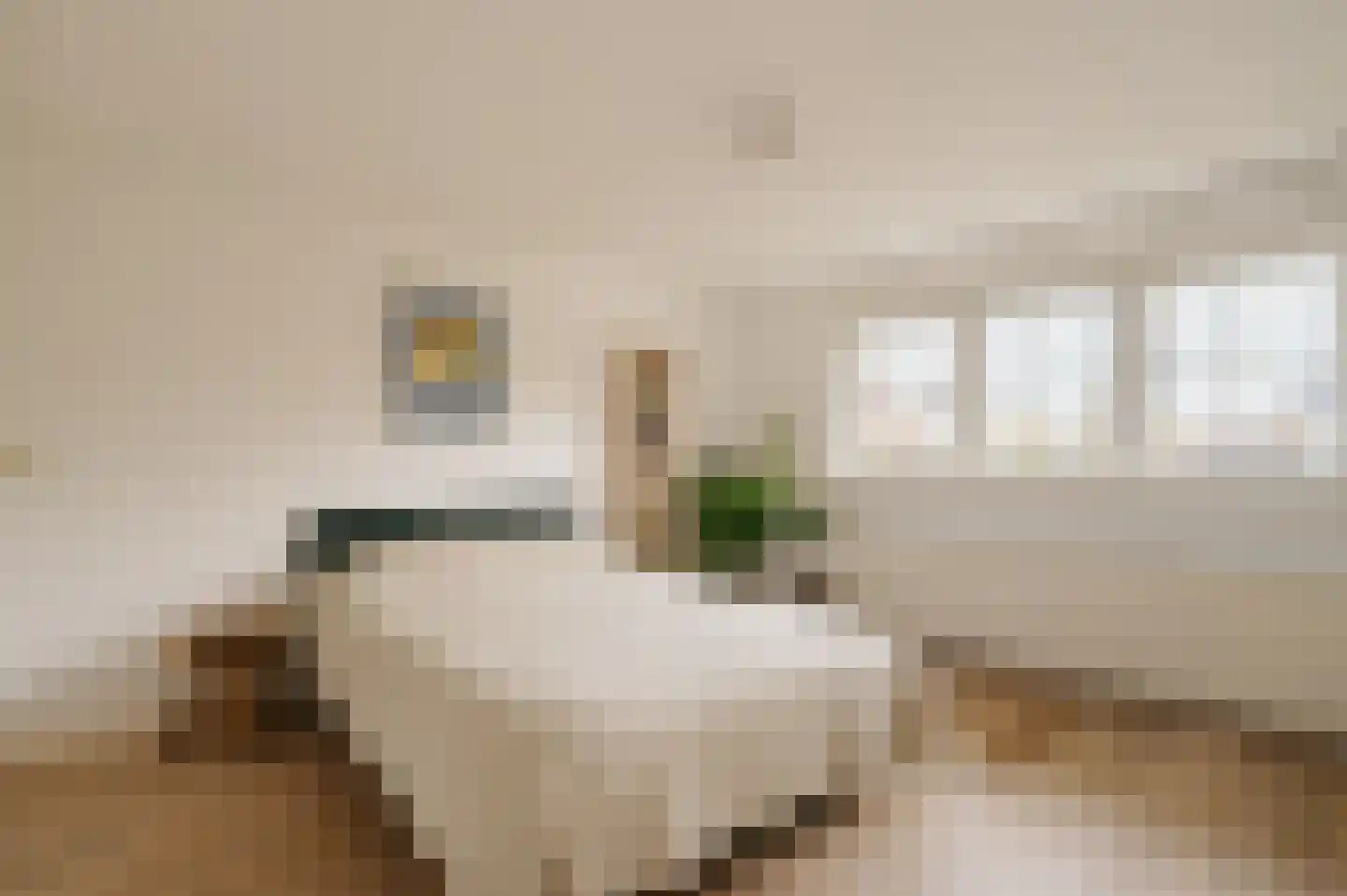 Van Hogendorplaan 10 Huizen thumbnail 16