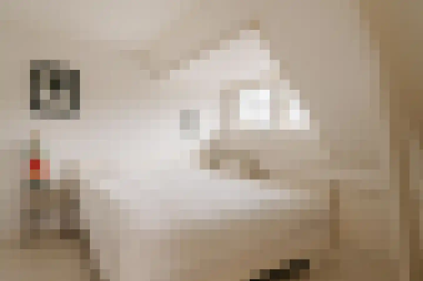 Van Hogendorplaan 10 Huizen thumbnail 21