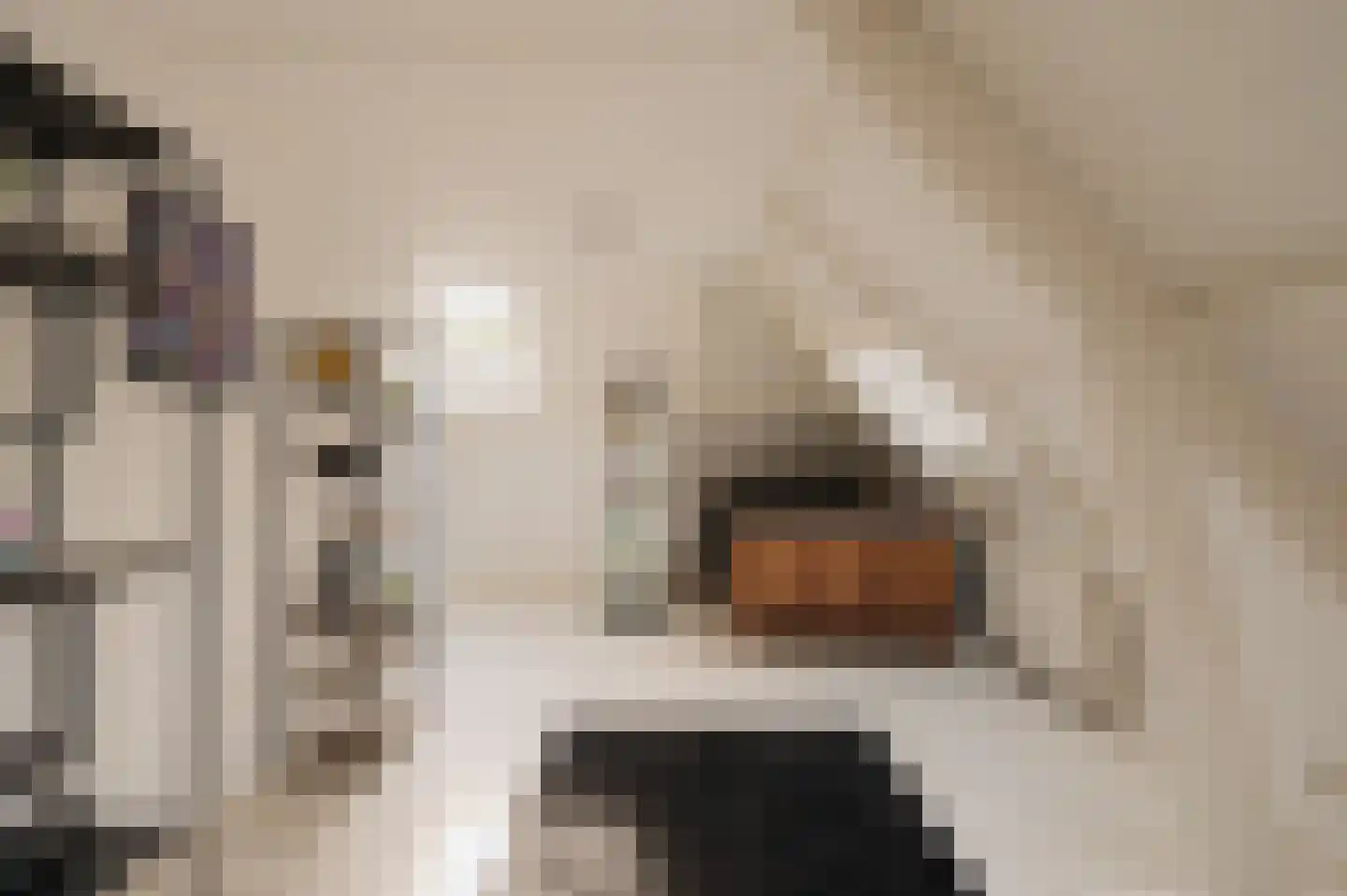 Van Hogendorplaan 10 Huizen thumbnail 22