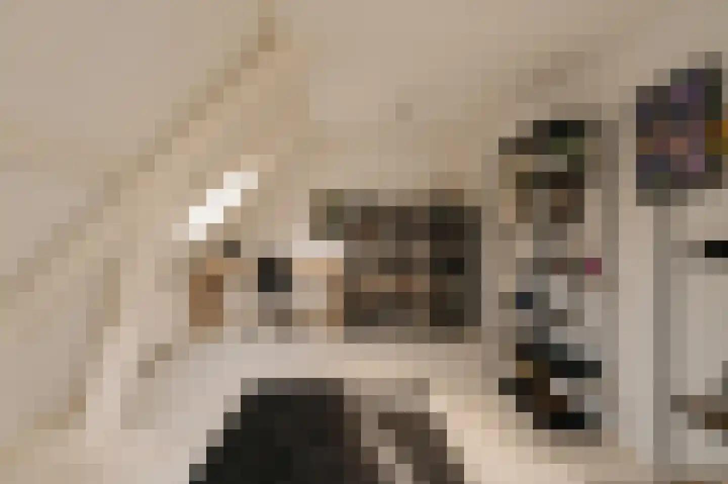Van Hogendorplaan 10 Huizen thumbnail 23