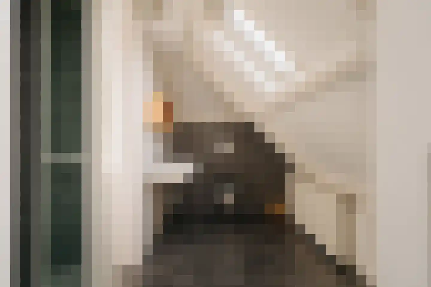 Van Hogendorplaan 10 Huizen thumbnail 24