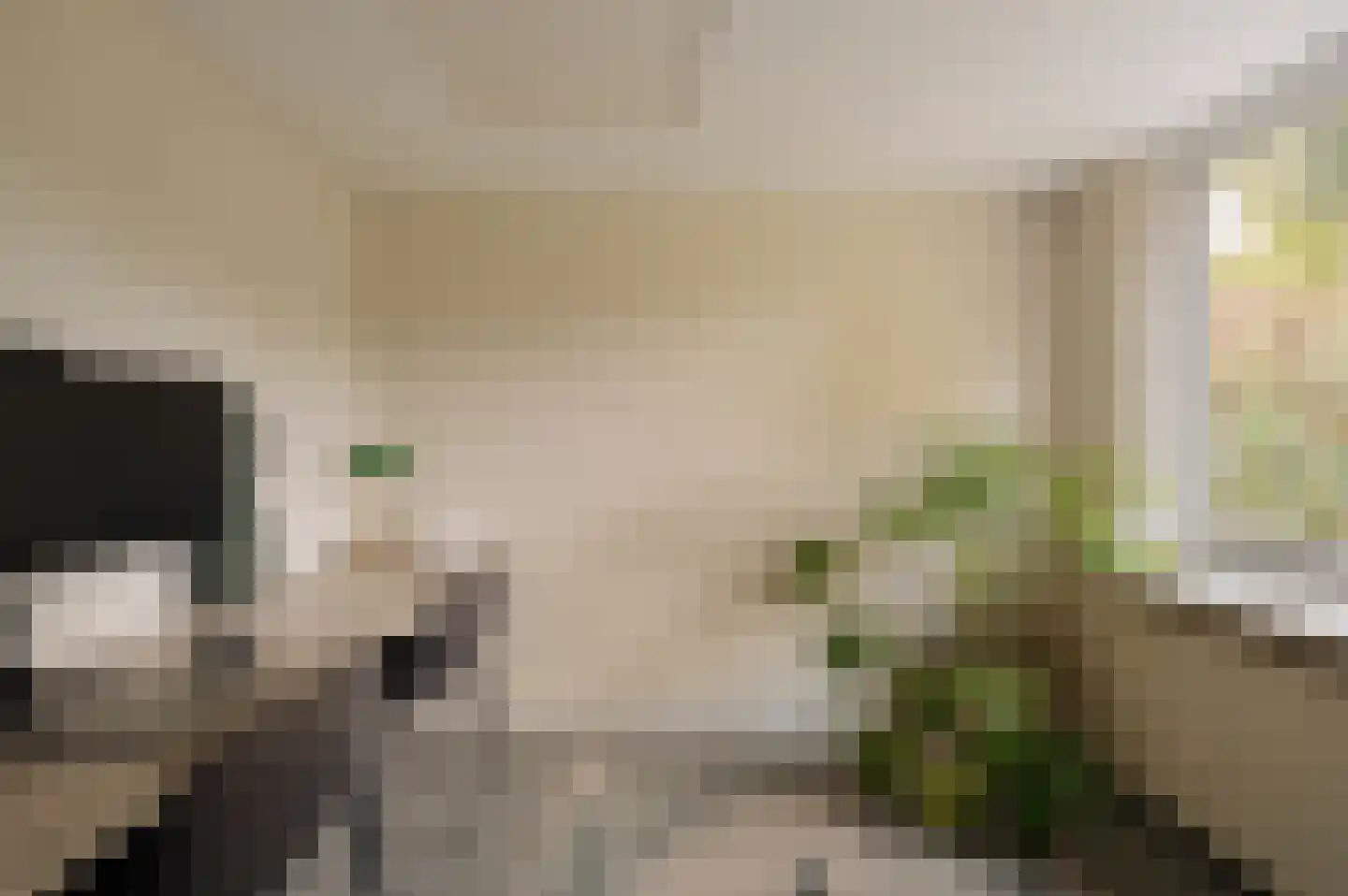 Van Hogendorplaan 10 Huizen thumbnail 27