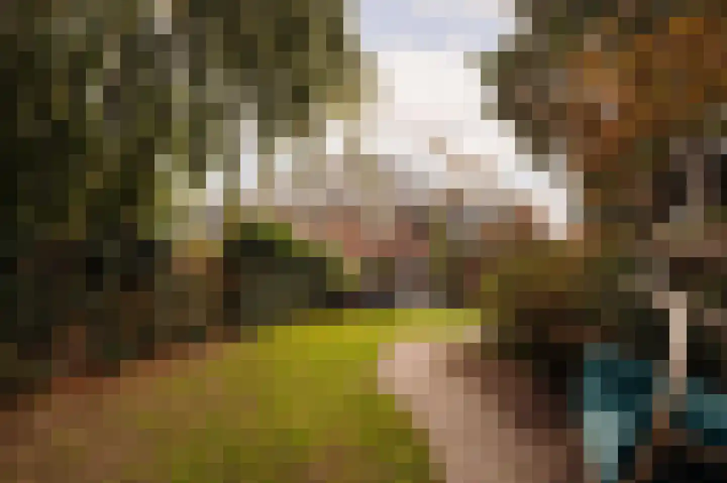Van Hogendorplaan 10 Huizen thumbnail 28
