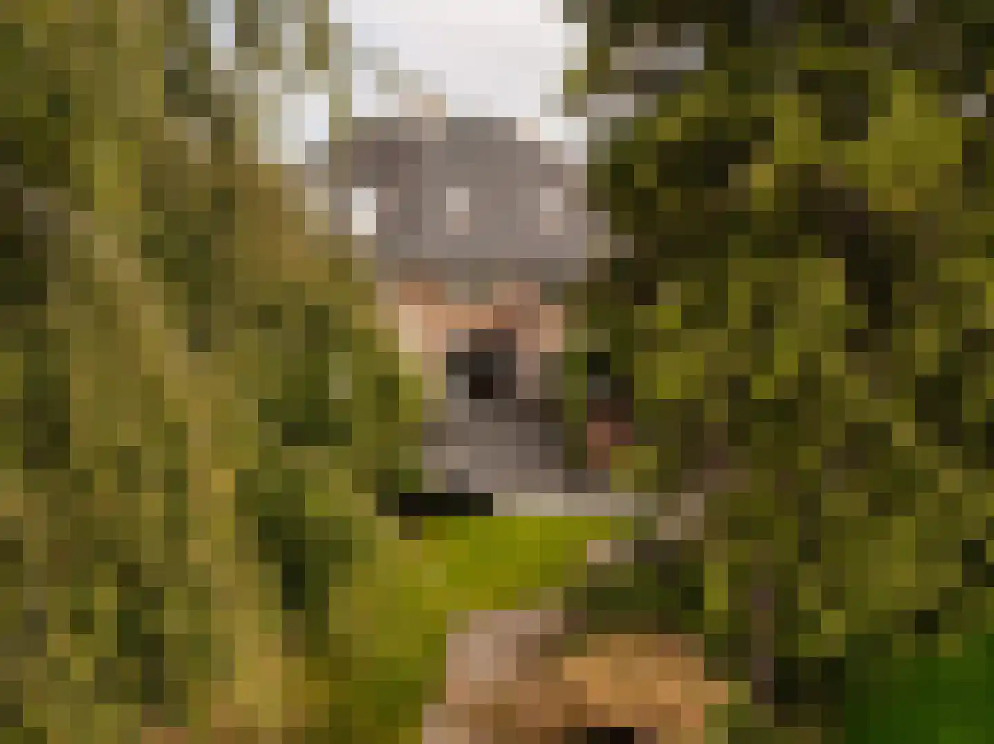 Van Hogendorplaan 10 Huizen thumbnail 30