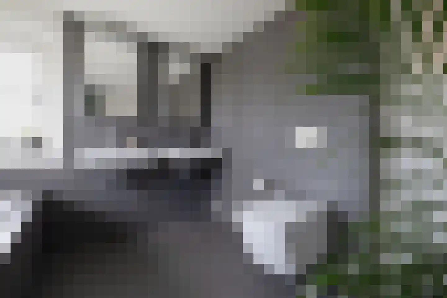 Van Hogendorplaan 10 Huizen thumbnail 30