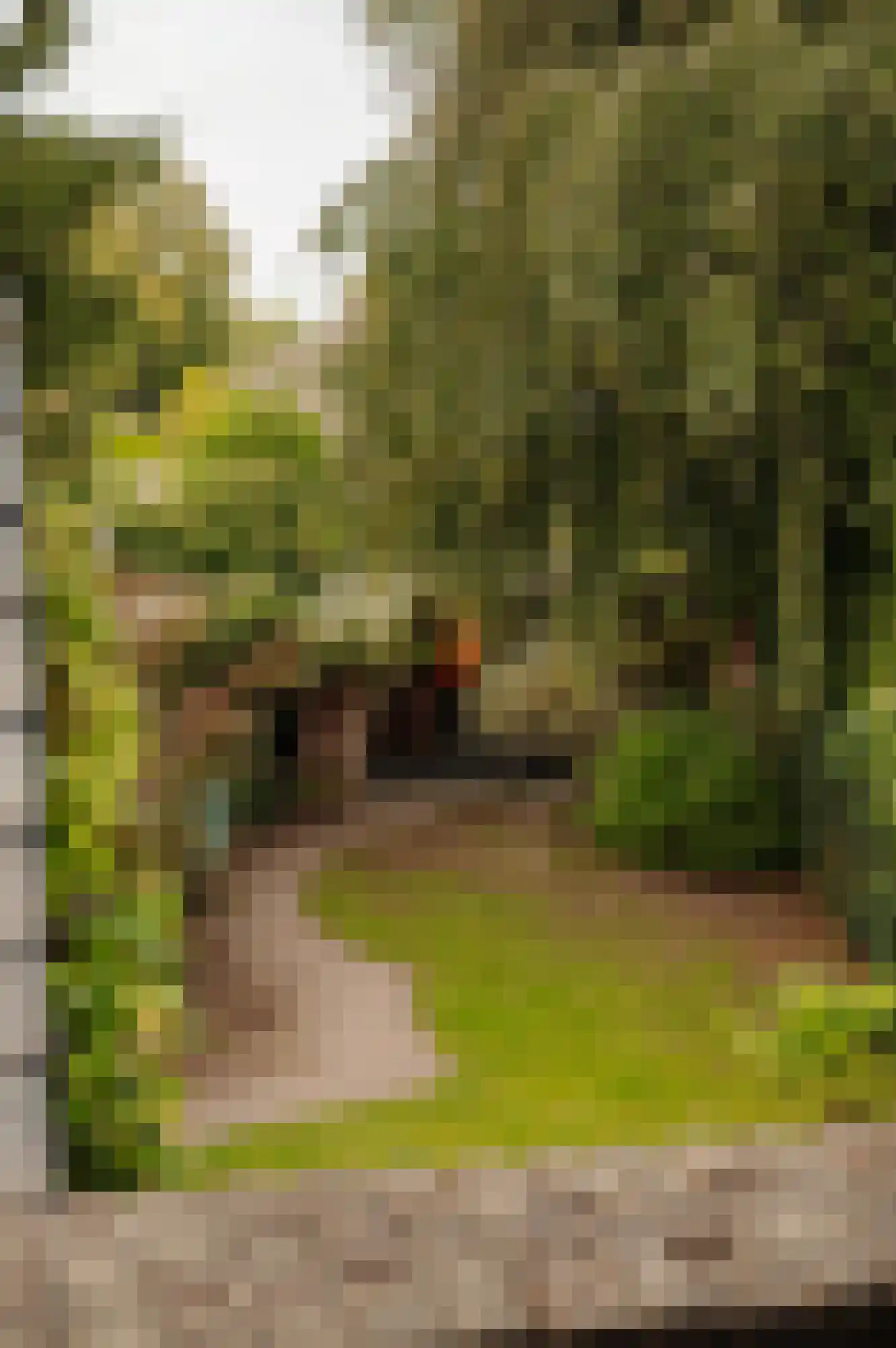Van Hogendorplaan 10 Huizen thumbnail 31