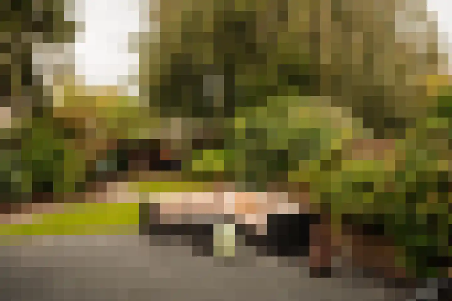 Van Hogendorplaan 10 Huizen thumbnail 32