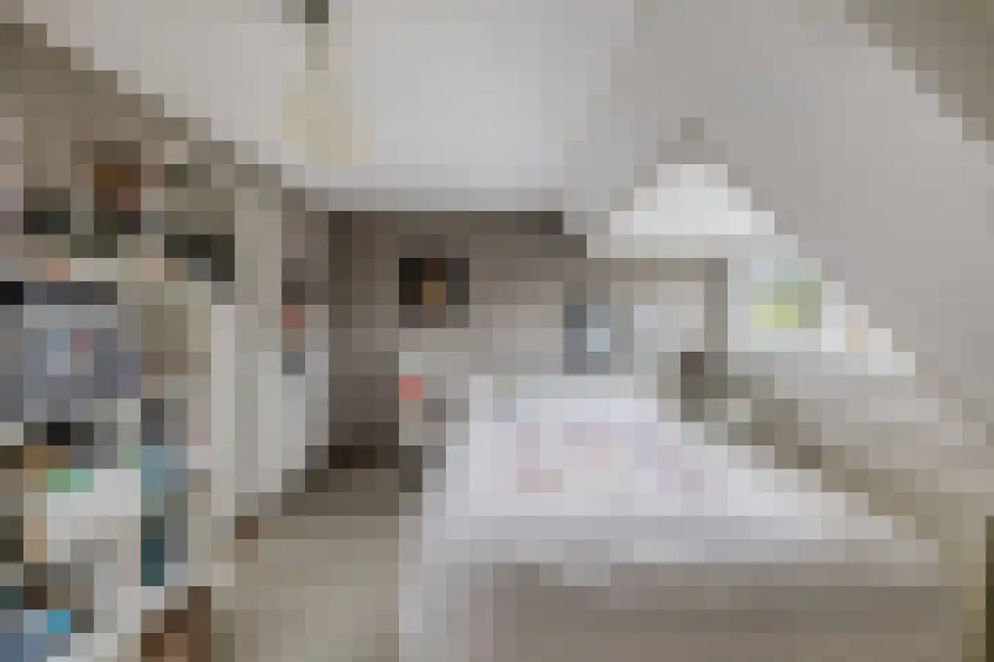 Van Hogendorplaan 10 Huizen thumbnail 33