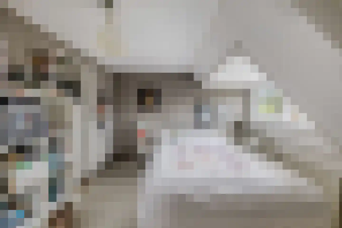 Van Hogendorplaan 10 Huizen thumbnail 33
