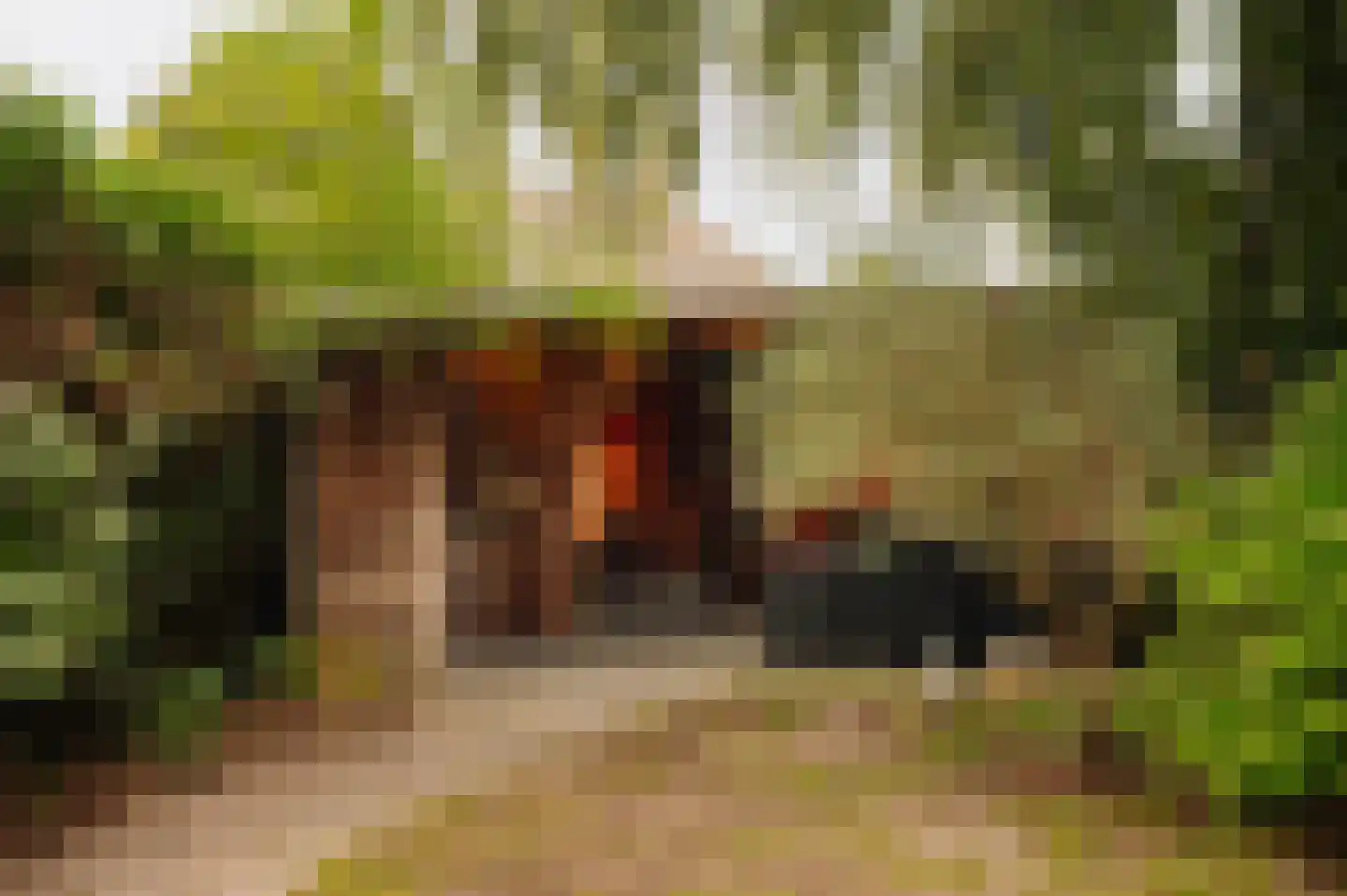 Van Hogendorplaan 10 Huizen thumbnail 34