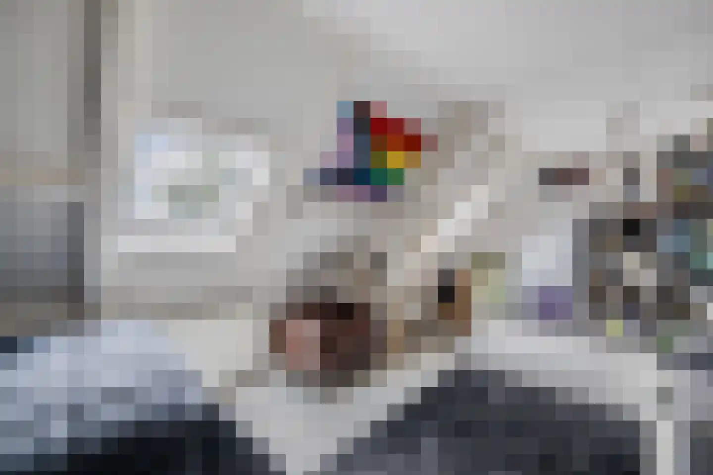 Van Hogendorplaan 10 Huizen thumbnail 34