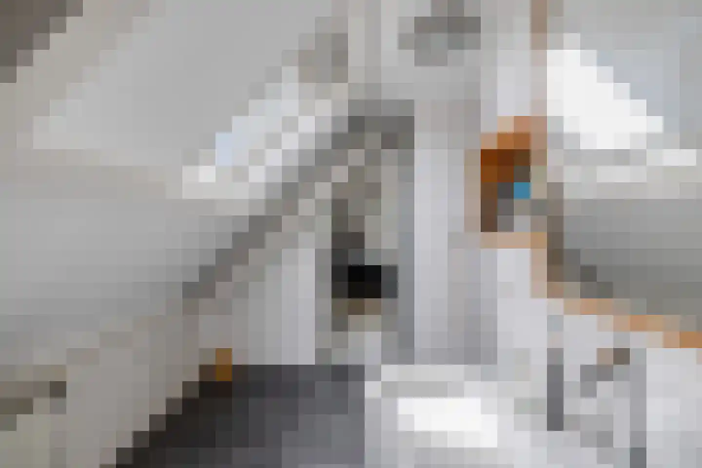 Van Hogendorplaan 10 Huizen thumbnail 35