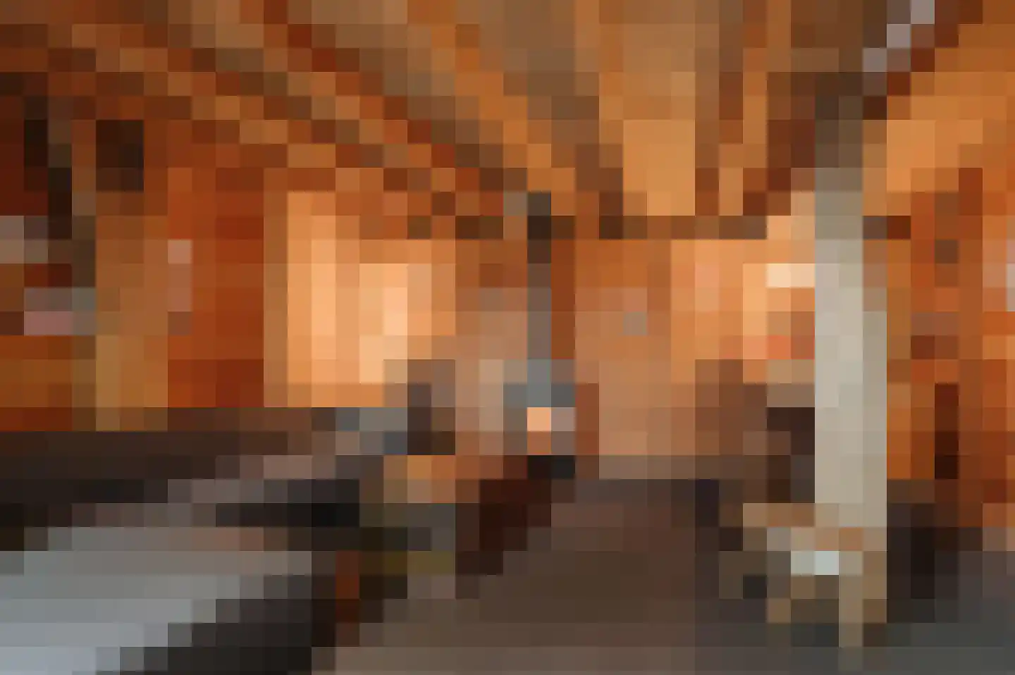 Van Hogendorplaan 10 Huizen thumbnail 35