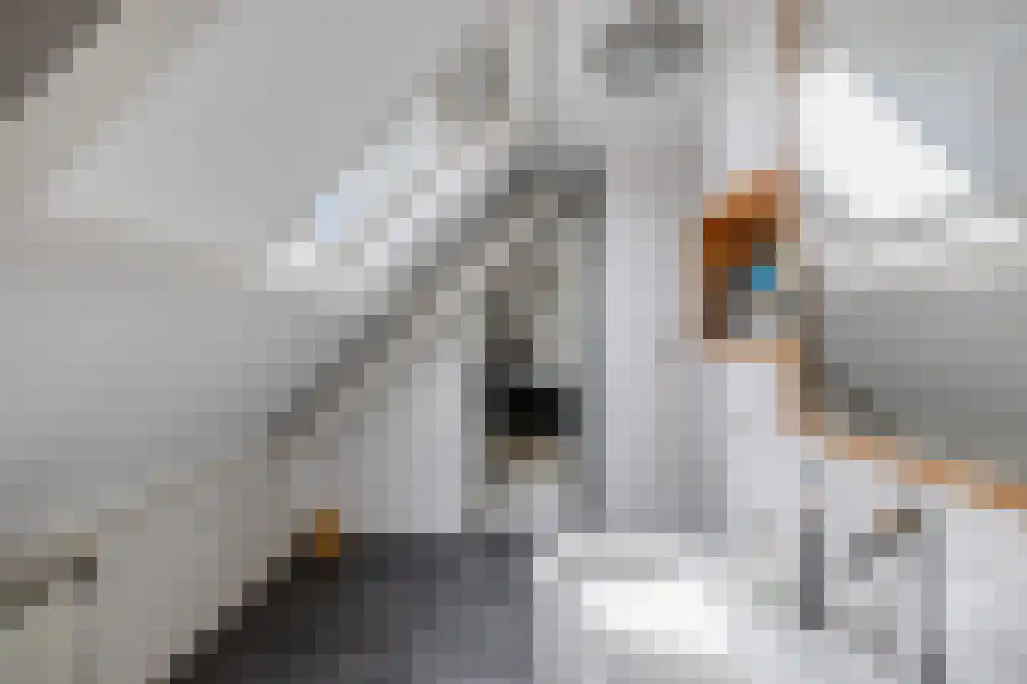 Van Hogendorplaan 10 Huizen thumbnail 35