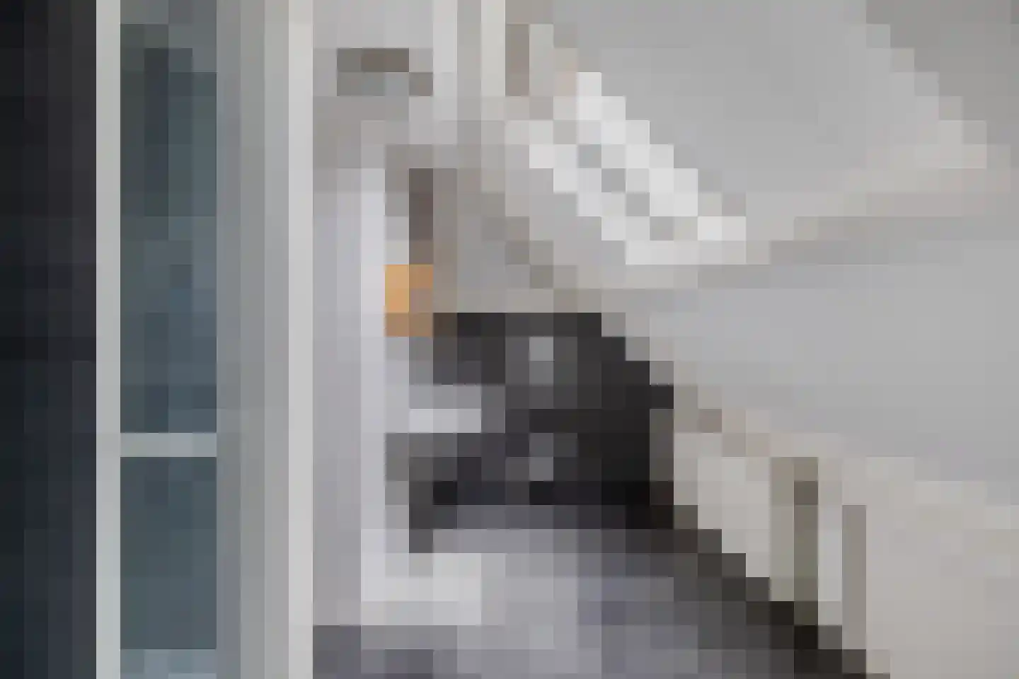 Van Hogendorplaan 10 Huizen thumbnail 36