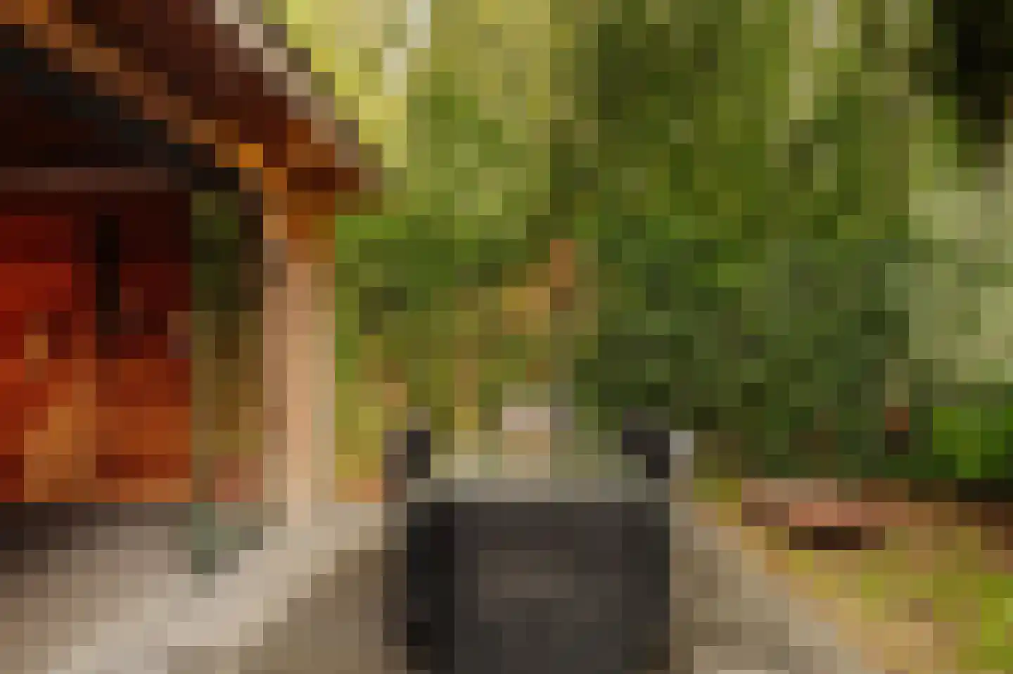 Van Hogendorplaan 10 Huizen thumbnail 36