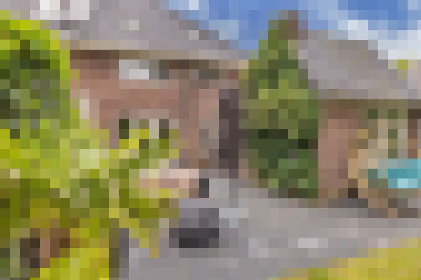 Van Hogendorplaan 10 Huizen thumbnail 38