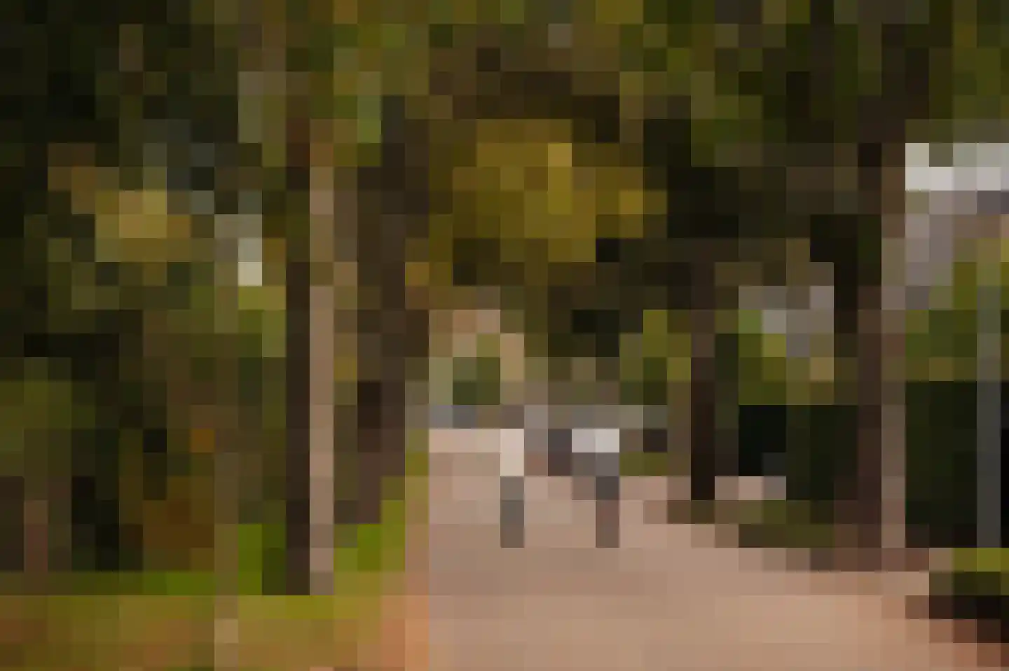 Van Hogendorplaan 10 Huizen thumbnail 40