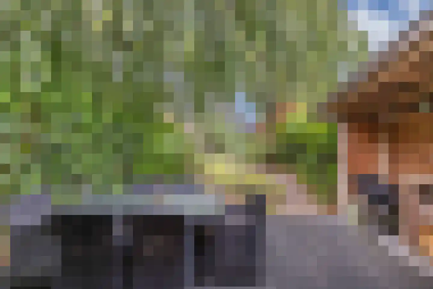 Van Hogendorplaan 10 Huizen thumbnail 42