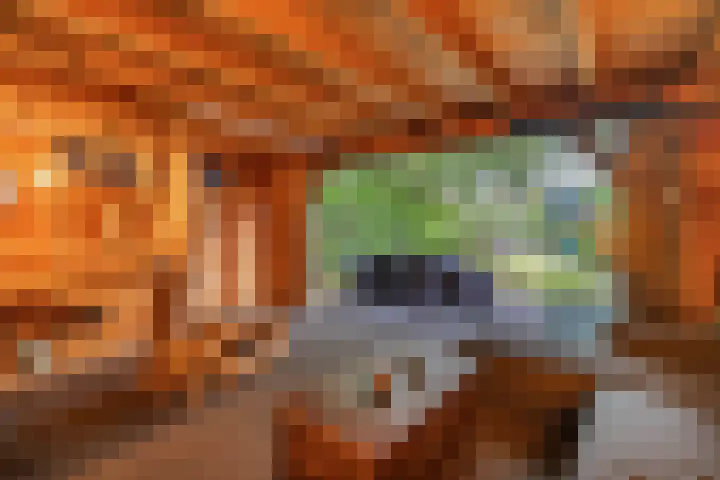Van Hogendorplaan 10 Huizen thumbnail 44