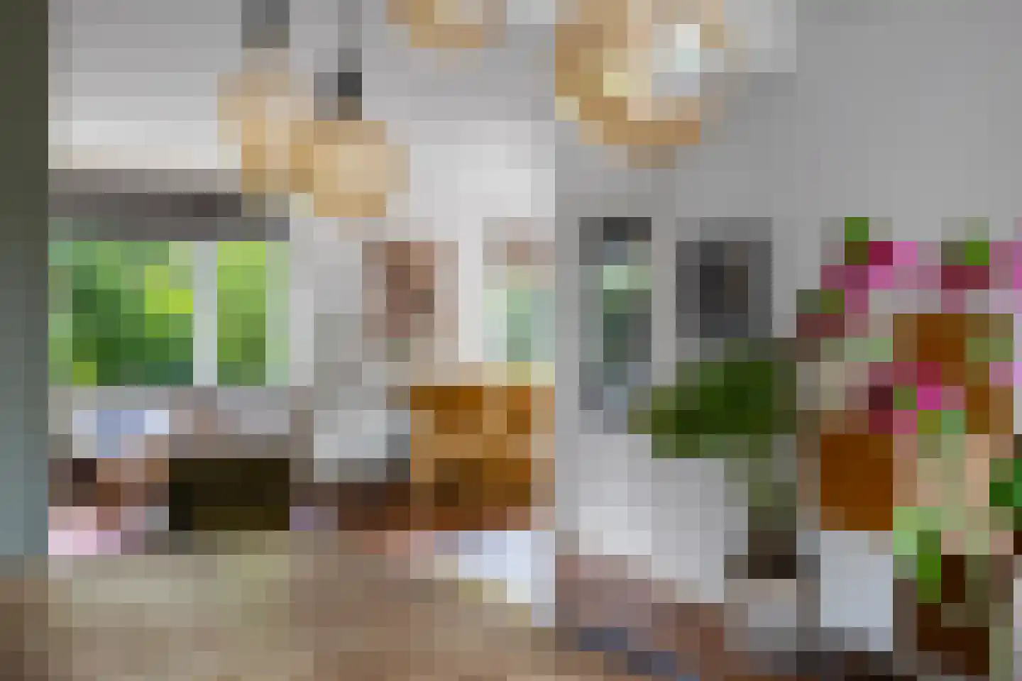 Van Hogendorplaan 10 Huizen thumbnail 7